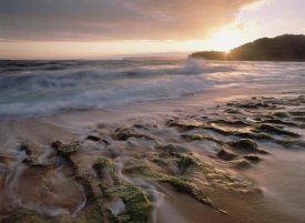 Tim Fitzharris - Waioli beach, Hanalei Bay, Kauai, Hawaii