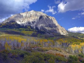 Tim Fitzharris - Fall colors at Gunnison National Forest, Colorado