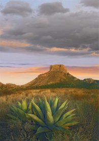 Tim Fitzharris - Lechuguilla agave and  Casa Grande, Big Bend National Park, Texas