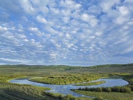 Tim Fitzharris - The Green River,  Bridger-Teton National Forest, Wyoming