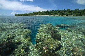 Konrad Wothe - Coral lagoon and palm lined beach, Rani Island, Indonesia