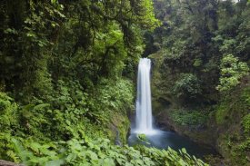 Konrad Wothe - La Paz Waterfalls in lush rainforest, Costa Rica