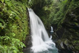 Konrad Wothe - La Paz Waterfalls in rainforest, Costa Rica
