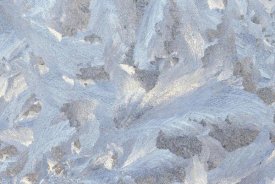 Gerry Ellis - Frost crystal formation on window, North America