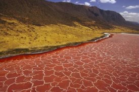 Gerry Ellis - Soda formations on the surface of Lake Natron, Tanzania, east Africa