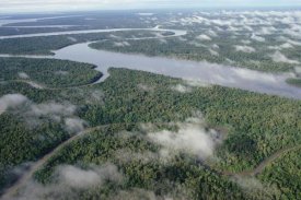Gerry Ellis - Kikori River and runs through rainforest, Kikori Delta, Papua New Guinea