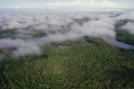 Gerry Ellis - Kikori River and runs through rainforest, Kikori Delta, Papua New Guinea