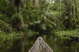 Pete Oxford - Dugout canoe in blackwater stream, Yasuni National Park, Amazonia, Ecuador