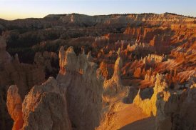 Tom Vezo - Sunrise Point, Bryce Canyon National Park, Utah