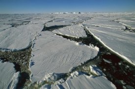 Colin Monteath - Heavy pack ice, Terre Adelie Land, east Antarctica