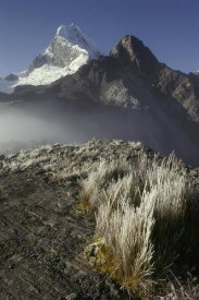 Grant Dixon - Frozen grasses and Nevado Chopicalqui peak, Cordillera Blanca, Peru