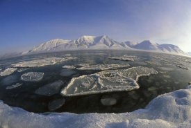 Colin Monteath - Ice floes and mountain range in the spring, Spitsbergen, Svalbard, Norway
