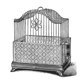 Catalog Illustration - Etchings: Birdcage - Flower detail.