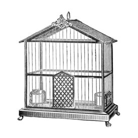 Catalog Illustration - Etchings: Birdcage - Peaked top.