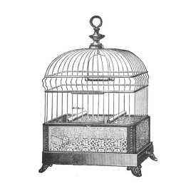 Catalog Illustration - Etchings: Birdcage - Gable top, filigree base.