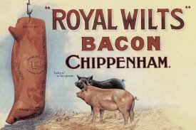 Advertisement - Pigs and Pork: Royal Wilts Bacon
