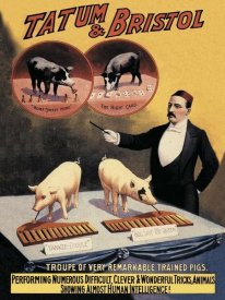 Advertisement - Pigs and Pork: Tatum and Bristol's Troupe of Trained Pigs
