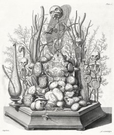 Cornelis Huyberts - Ad. vivim Sculpsit