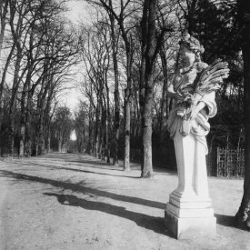 Eugène Atget - France, 1920 - The Park, Versailles