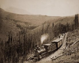 William Henry Jackson - Marshall Pass, Colorado, Westside, 1880-1881