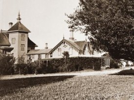 Carleton Watkins - Residence of Mr. Howard, San Mateo, California, with Olive Tree, 1863-1880