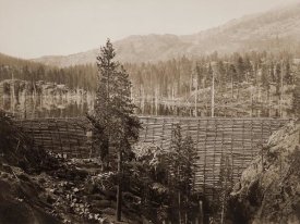 Carleton Watkins - Dam and Lake, Nevada County, California, Near View, about 1871