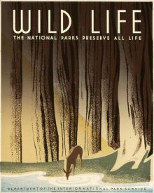Frank S. Nicholson - Wild Life; The National Parks Preserve All Life, ca. 1936-1940