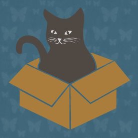 BG.Studio - Cat in a Box - Blue