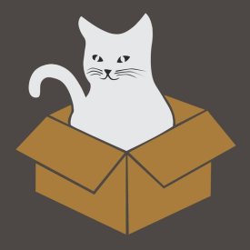 BG.Studio - Cat in a Box - Gray