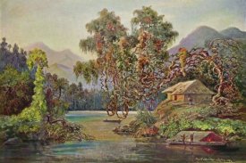 Ernst Haeckel - Aralien mit Lianen am Schwarzen Flusse (Ceylon)