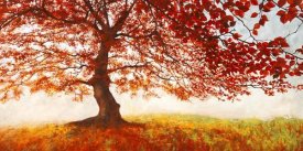 Jan Eelder - Red Leaves