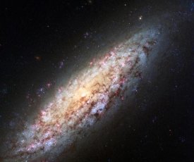NASA - Spiral Galaxy NGC6503