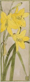 Hannah Borger Overbeck - Yellow Daylily