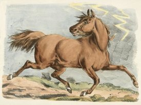 Henry Thomas Alken - Brown Horse Running, 1817
