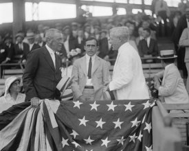 Harris and Ewing Collection (Library of Congress) - President Woodrow Wilson at a Baseball Game