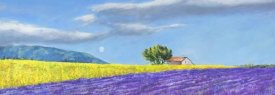 Massimo Germani - Campi di Lavanda
