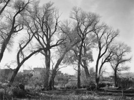 Ansel Adams - At Taos Pueblo National Historic Landmark, New Mexico, ca. 1941-1942