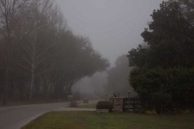 Jonathan Babb - Morning Mist