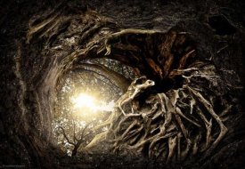 Matthias Bergolth - Under The Trees #1