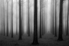 Jochen Bongaerts - In A Fog