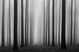 Jochen Bongaerts - Labyrinth