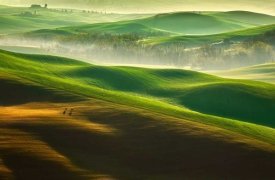 Image result for Krzysztof Browko