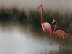 Anna Cseresnjes - Untitled