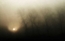 Yvette Depaepe - Celestial Melody To The Earth