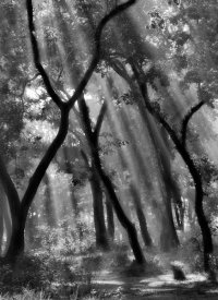 Yvette Depaepe - Enchanted Forest