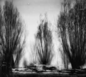 Yvette Depaepe - One May Day