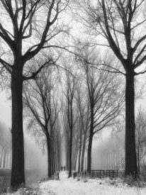Yvette Depaepe - Then Winter Comes