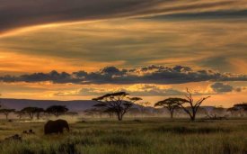 Amnon Eichelberg - Africa