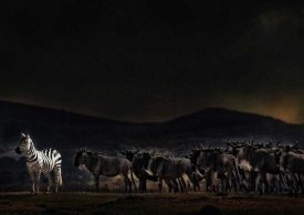 Piet Flour - An Evening In Kenya