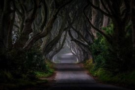 Piotr Galus - Magic Road
